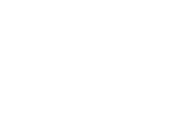 Logo image of holistic pilates in footer